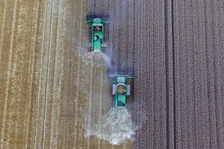 foto